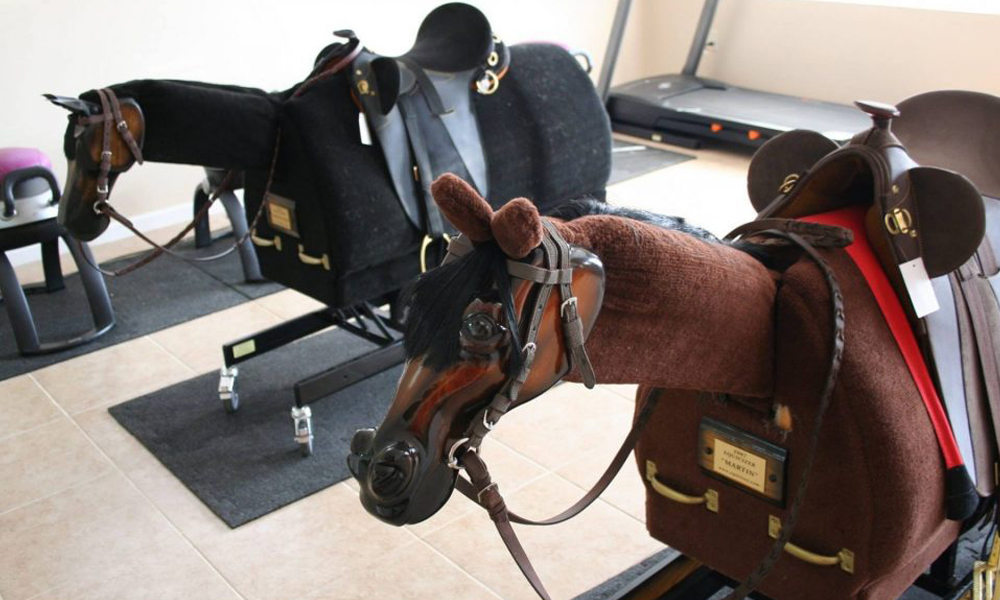 Mechanical horse simulators used for hippotherapy exercises