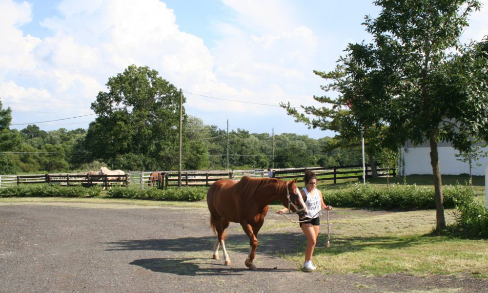 Handler leading a horse across the equestrian center grounds